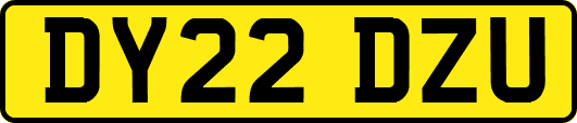 DY22DZU