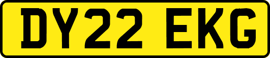 DY22EKG