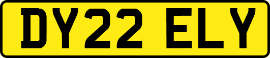 DY22ELY