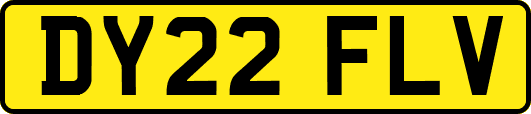 DY22FLV