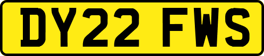 DY22FWS