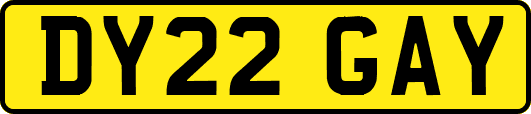 DY22GAY