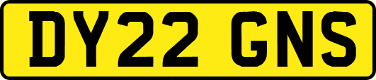 DY22GNS