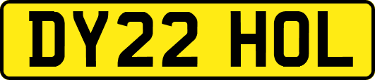 DY22HOL