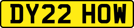 DY22HOW