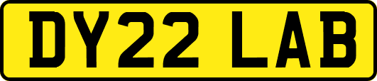 DY22LAB