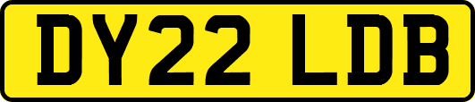 DY22LDB
