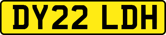 DY22LDH