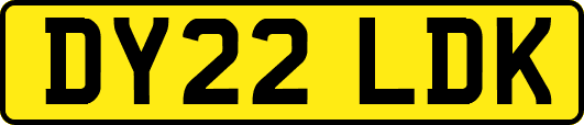 DY22LDK