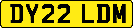 DY22LDM