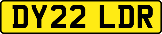 DY22LDR