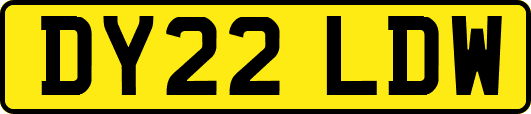 DY22LDW
