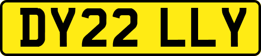DY22LLY