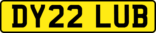 DY22LUB