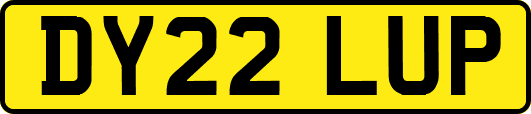 DY22LUP