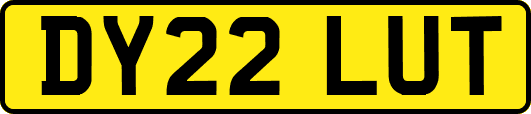 DY22LUT