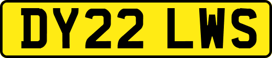 DY22LWS