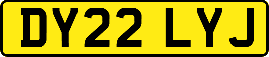 DY22LYJ