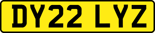 DY22LYZ