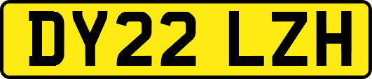 DY22LZH