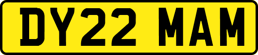DY22MAM