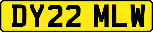 DY22MLW