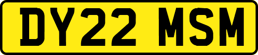 DY22MSM