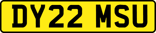 DY22MSU