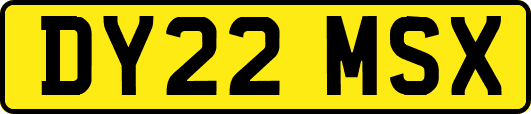 DY22MSX