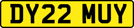 DY22MUY