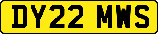 DY22MWS