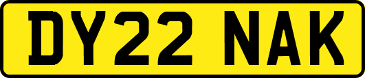 DY22NAK