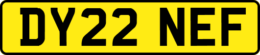 DY22NEF