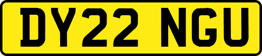 DY22NGU