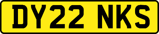 DY22NKS