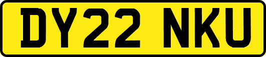 DY22NKU