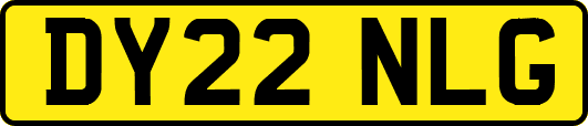 DY22NLG