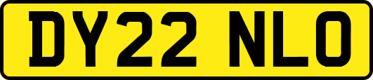 DY22NLO