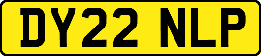 DY22NLP
