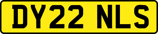 DY22NLS