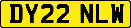 DY22NLW