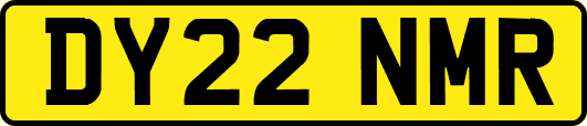 DY22NMR
