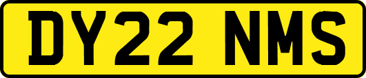 DY22NMS