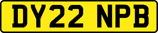 DY22NPB
