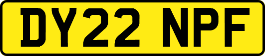 DY22NPF