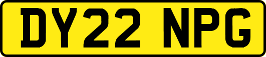 DY22NPG