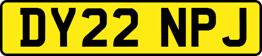 DY22NPJ