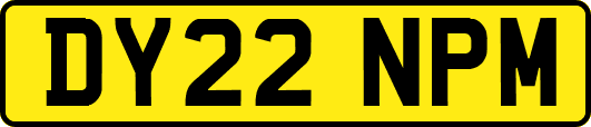 DY22NPM