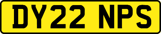DY22NPS