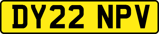 DY22NPV